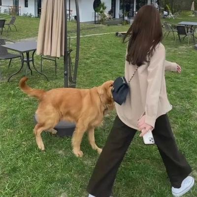 脂粉双雄
